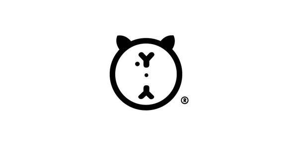 2Y